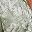 Celadon Palm Leaf