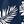 Dark Blue Palm Leaves