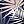 Navy Blue Palm Leaves