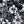 Black White Flower