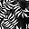 Black White Leaf