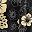 Black Yellow Flower