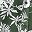 Green White Flower
