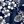 Navy White Flower