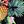 Pineapple Leaf Black