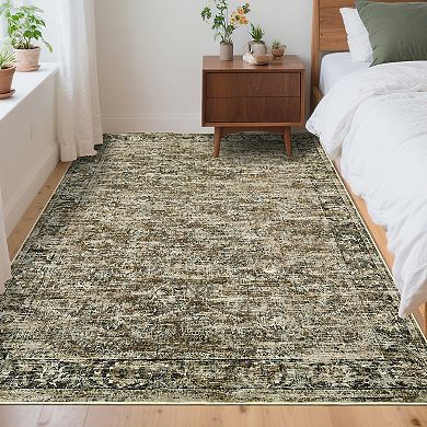 ANIXOL Washable Vintage Area Rug