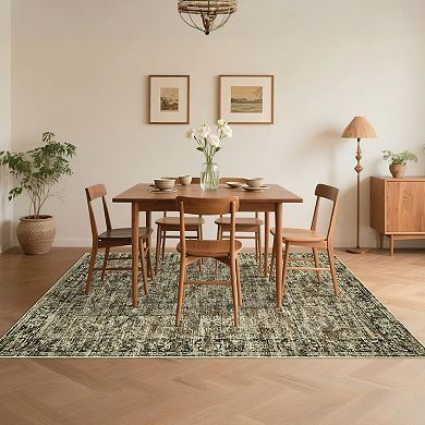 ANIXOL Washable Vintage Area Rug