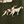 Dog Hunt Green