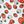 White Red Strawberry