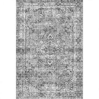 ANIXOL Low Pile Washable Area Rug