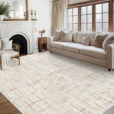Abstract Area Rug For Living Room Bedroom Dining Space