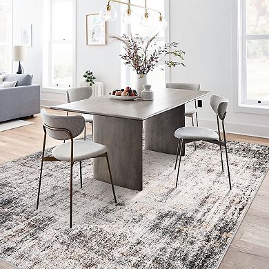 Abstract Area Rugs Machine Washable, Non-Slip Low Pile Boho Carpet