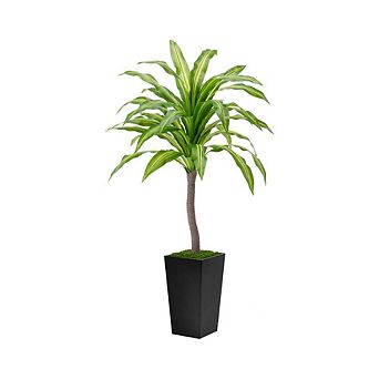 Dracaena Tropical Artificial Silk Plant