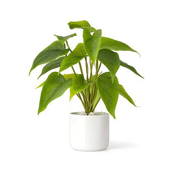 Green Plastic High-Quality Artificial Plant