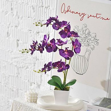 Artificial Orchid Plant in Ceramic Vase