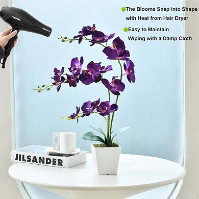 Artificial Orchid Plant in Ceramic Vase