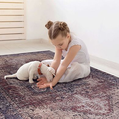 Machine Washable Non-Slip Chenille Rug 5x8ft, Family & Pet Friendly for Entryway Bedroom
