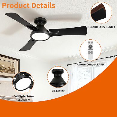 42" Modern Black 3 Plywood Blades Flush Mount Standard Ceiling Fan with Integrated LED and Remote