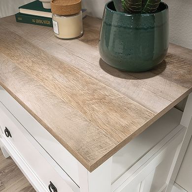 Storage File Cabinet with Drawer