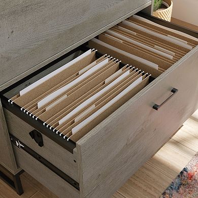 Storage File Cabinet with 2 Drawers