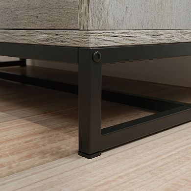 Storage File Cabinet with 2 Drawers