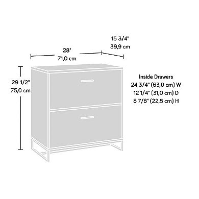 Storage File Cabinet with 2 Drawers