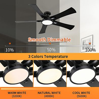 52" Modern Black 5 Plywood Blades Flush Mount Standard Ceiling Fan with Integrated LED and Remote
