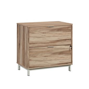 Storage File Cabinet with 2 Drawers