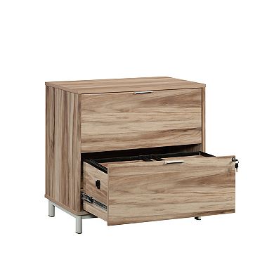 Storage File Cabinet with 2 Drawers