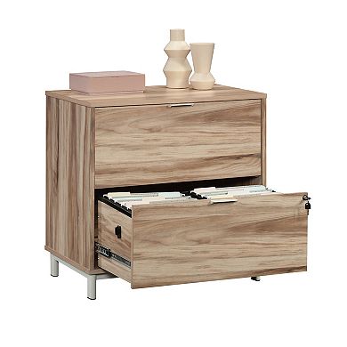 Storage File Cabinet with 2 Drawers