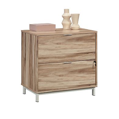 Storage File Cabinet with 2 Drawers
