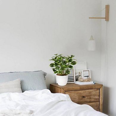 Greenery Faux Lifelike Potted Artificial Plant