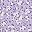 Purple Flower