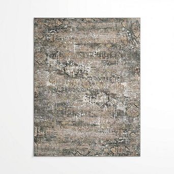 Washable Large Area Rug Carpet, Non-Slip Backing Living Room Bedroom, Farmhouse Retro Abstract