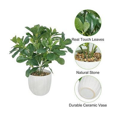 Greenery Faux Eucalyptus Plants With Vase