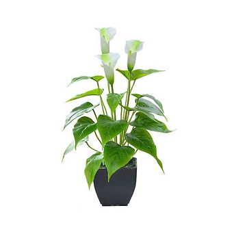 Potted Faux Silk Calla Lily Plant