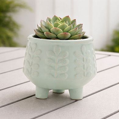 Melrose 4-Piece Footed Ceramic Leaf Pattern Planter Set