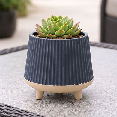 Melrose 2-Piece Footed Ceramic Ribbed Planter Set
