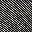 Grey Stripe