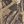 Brown Camo