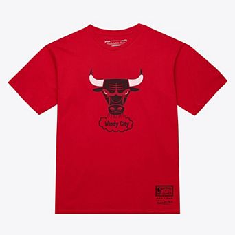 Unisex Mitchell & Ness Red Chicago Bulls Hardwood Classics Arch T-Shirt