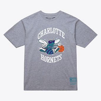 Unisex Mitchell & Ness Heather Gray Charlotte Hornets Hardwood Classics Arch T-Shirt