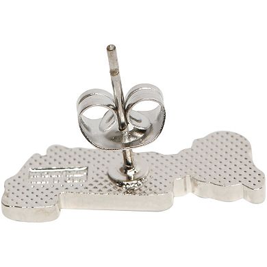 WinCraft Atlanta Braves Team Post Earrings