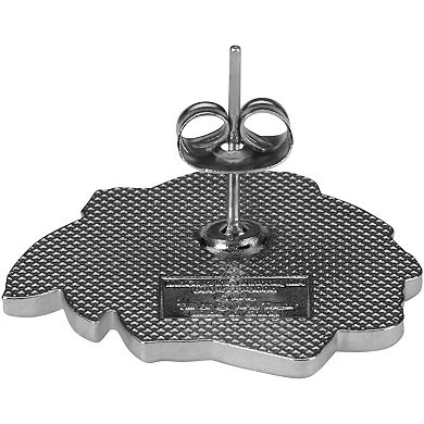 WinCraft Chicago Blackhawks Post Logo Earrings