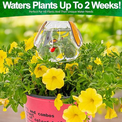 Puppy Dog Self Watering Globes Glass Plant Waterers Up to 2 Weeks, 4 Pack