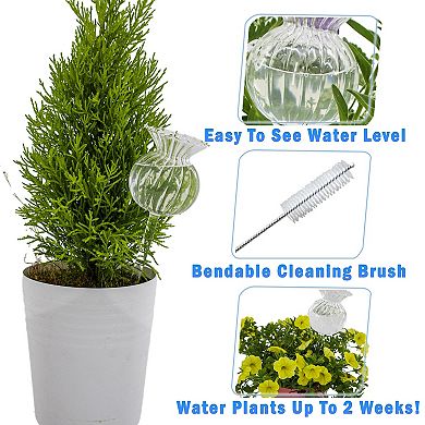 Self Watering Glass Globes for Plants - Adjustable Flow 4 Pack, 6oz Capacity 9.5 Inch