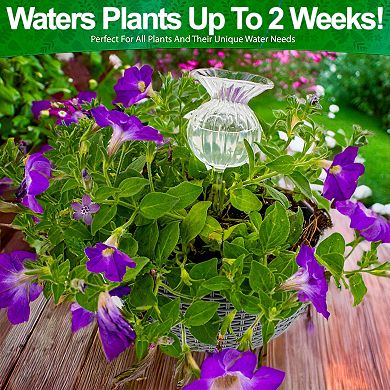 Self Watering Glass Globes for Plants - Adjustable Flow 4 Pack, 6oz Capacity 9.5 Inch