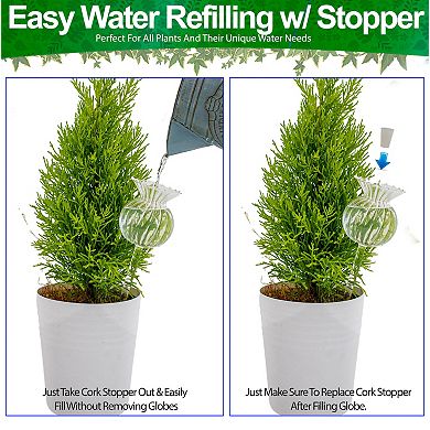 Self Watering Glass Globes for Plants - Adjustable Flow 4 Pack, 6oz Capacity 9.5 Inch