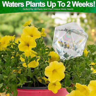 Iridescent Glass Plant Watering Globes 4-Pack Slow-Release Up to 2 Weeks for Vacation Care