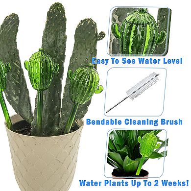 Self Watering Glass Cactus Globes Adjustable Flow for Plants Up to 2 Weeks, 4 Pack
